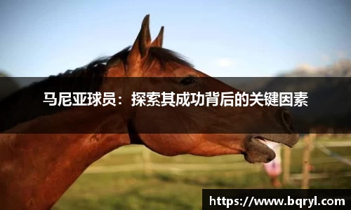 马尼亚球员：探索其成功背后的关键因素